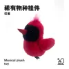 Red bird-sings-imitates speech-flaps wings-can talk