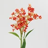 Arancione