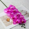 สีขาวและสีม่วง