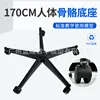 170cm skeleton base