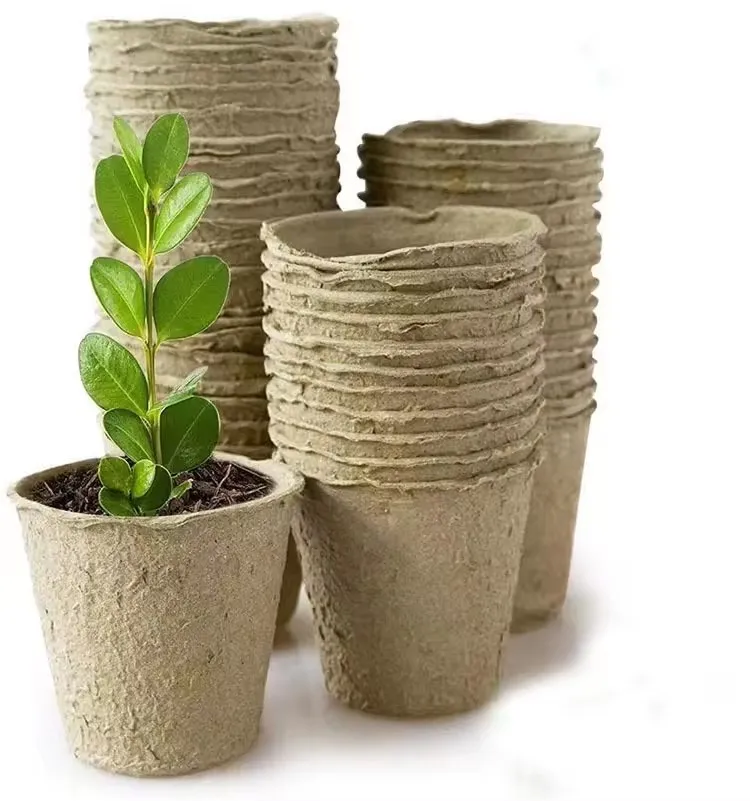 50 Pack 8cm Round Fibre Pot Seed Seedling Pot,Fibre Seed Pots Biodegradable Plant Pots Seedling Pots Flower Seed Starter Pots Kits Garden 8 8cm