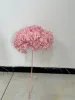 rosa sakura claro