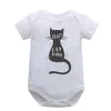 Gatto corto bianco nero