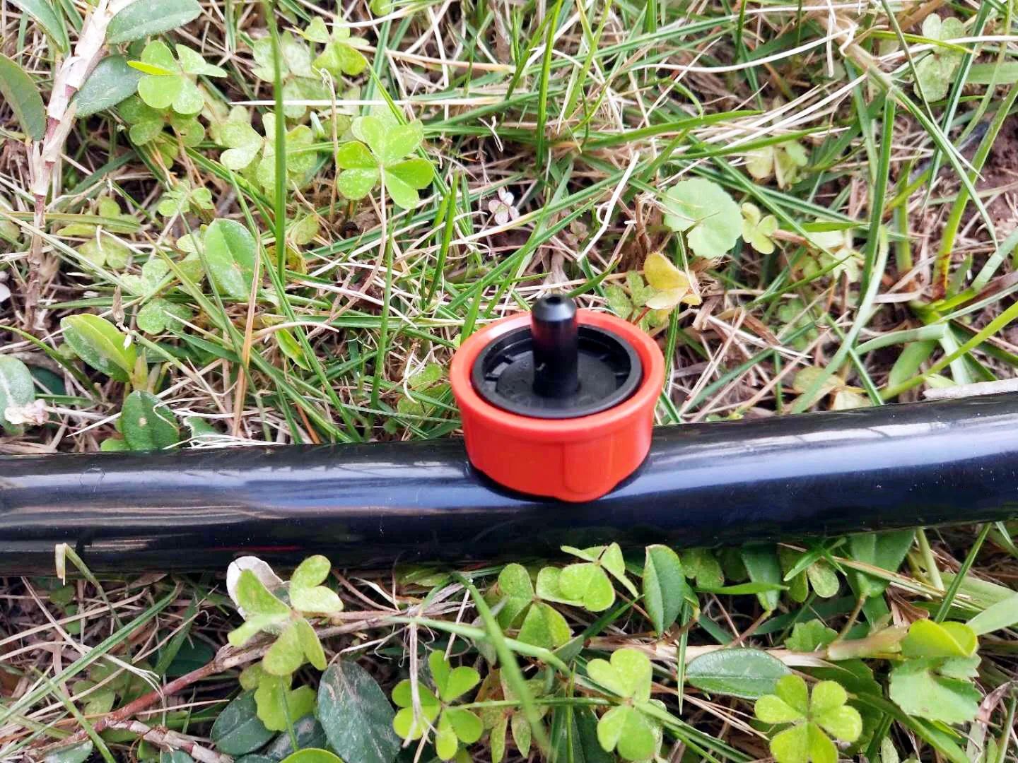 Drip Irrigation System Plastic Pressure Compensating Dripper Buy