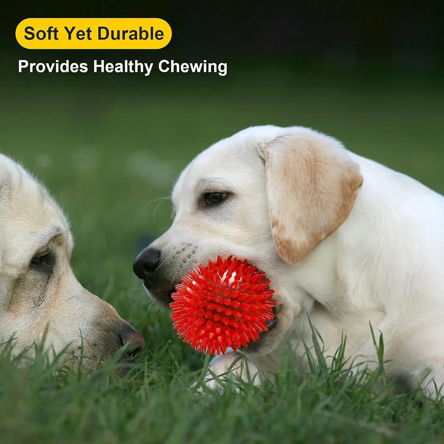 Squeaky Fetch Spike Balls TPR Toys for Pet Small Dogs Puppy Rubber Bright Color Chew Teething Toys