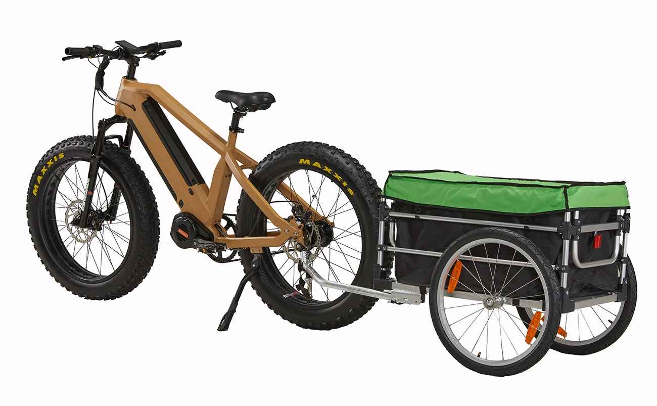 Bafang Mozzo a Cambio Automatico a Velocità per Bici Elettrica Fat Bike  con Trasmissione a Cinghia Gates, Motore Bafang 1000W G510 M620 per E-bike