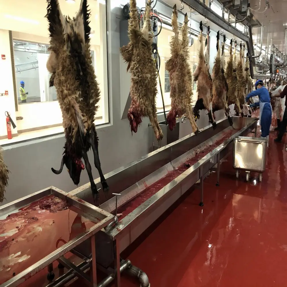 Complete set of halal mutton slaughtering machine for sheep slaughterhouse with meat cutting production line
