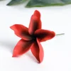 #5 rosso