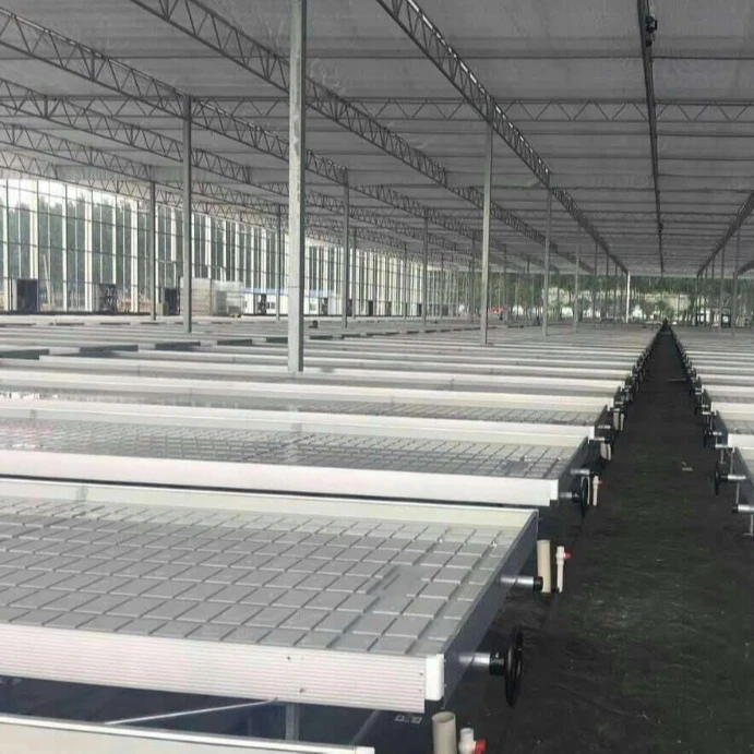 Ebb And Flow Bench Hydroponics Grow System Plastic Tray Ebb and Flow Rolling Benches