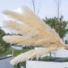 Bianco crema (60-80/>80cm disponibili)
