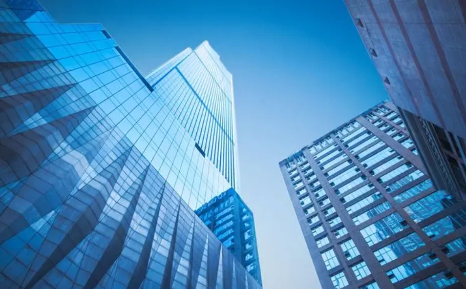 Hangzhou Laiouna Trading Co., Ltd. 1