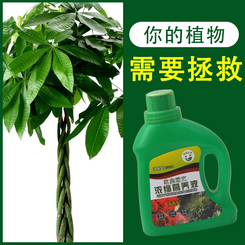 浓缩有机产品生长剂肥料水培营养有机液肥农业植物养分 Buy Plant Nutrient Hydroponic Nutrients Organic Liquid Fertilizer Agriculture Plant Nutrient Concentrated Organic Products Growth Agent Fertilizer Hydroponic Nutrients Organic