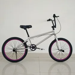 【 新品未使用】bmx バリアルペグ BMX 20 Inch Acrobatic Performance Bike with 4 Foot Levers