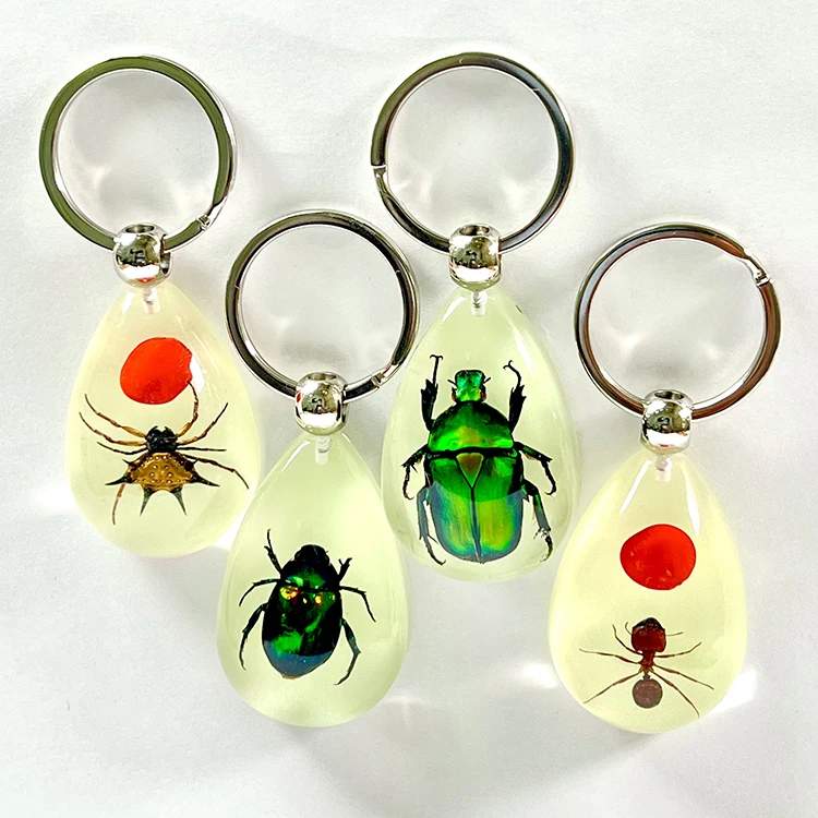 IVR Factory Cool Insect Keychain  Real Spider Luminous Keychain for Boys
