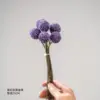 Purple-red Autumn Golden Ball