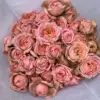 Julietta, rosas de múltiples cabezas - 10 tallos
