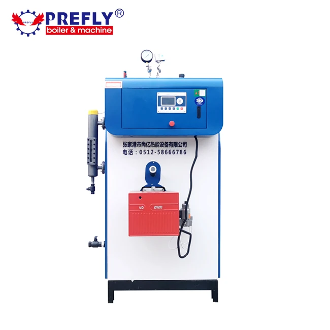 Medium Pressure Vertical Italian burner Gas Steam Boiler Equipment 300 Kg/h for Ironing Easy to Operate