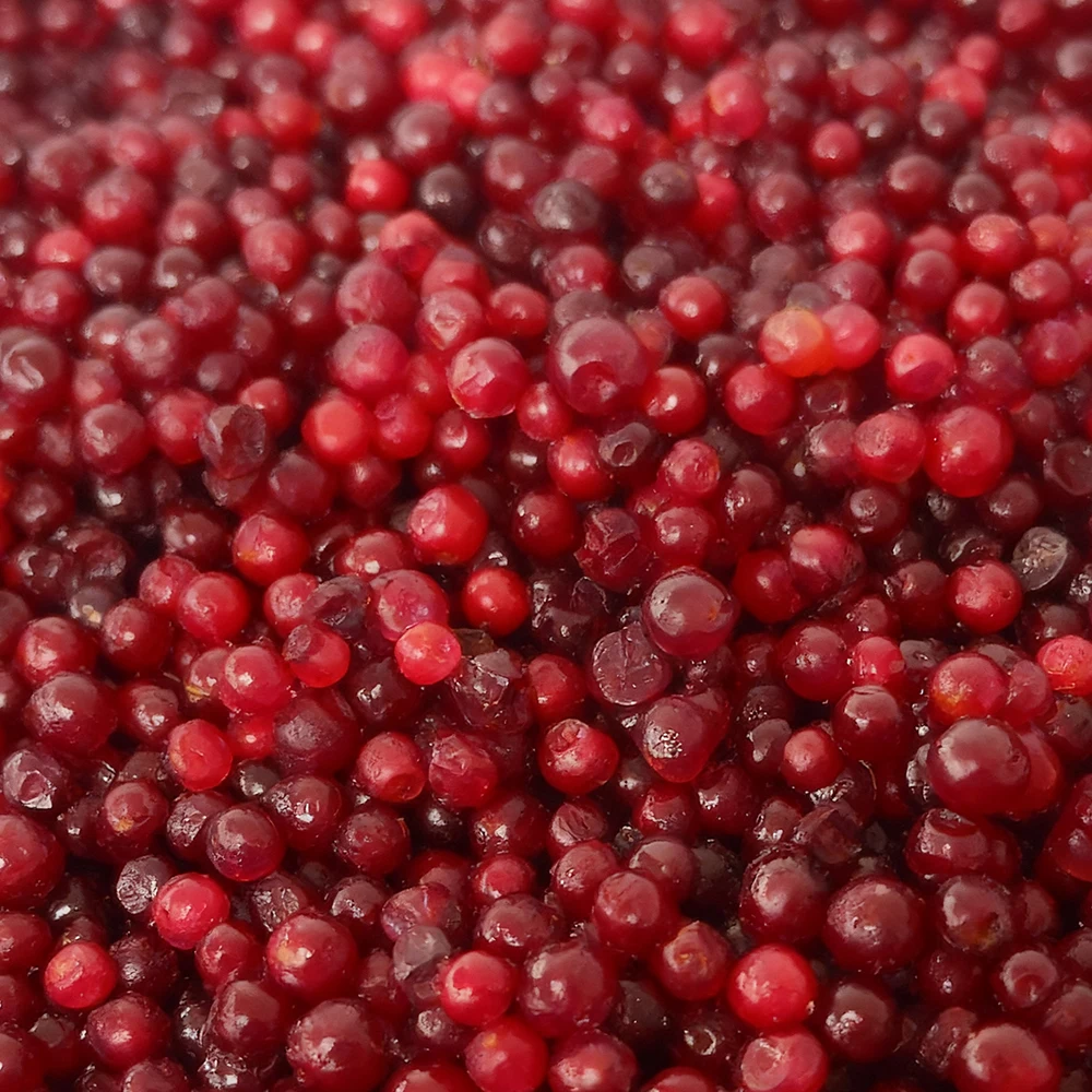 Populyar Satışa Malik Dondurulmuş Meyvələr Partiyası 10 kq IQF Lingonberry Şirin Tam Qırmızı Lingonberry Yeyintisi Toptan Satış Üçün Ən Yaxşı Qiymət