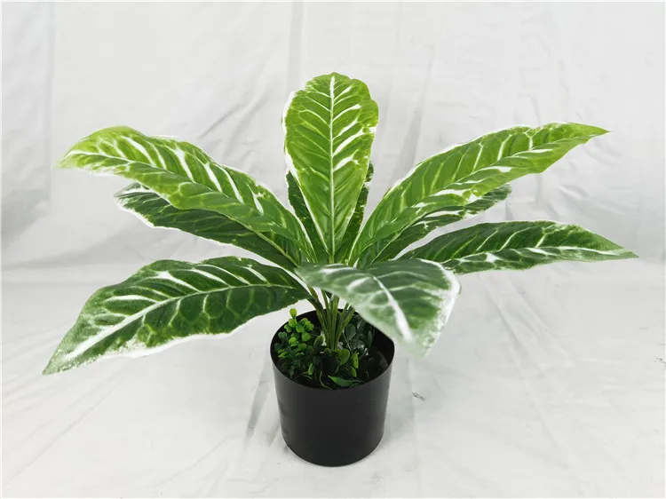 Yd8741-2 De Plantas Tropicales Artificiales,Planta De Croton,Variegatum,Hojas  Grandes,Venta Al Por Mayor - Buy Venta Al Por Mayor Planta Artificial  Árbol,Barato Artificial Árboles,Artificial Croton Codiaeum Variegatum Planta  Product on 