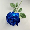 Rose-bleu à grandes cornes