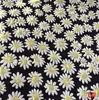 6-BLACK YELLOW