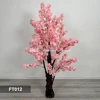 FT012