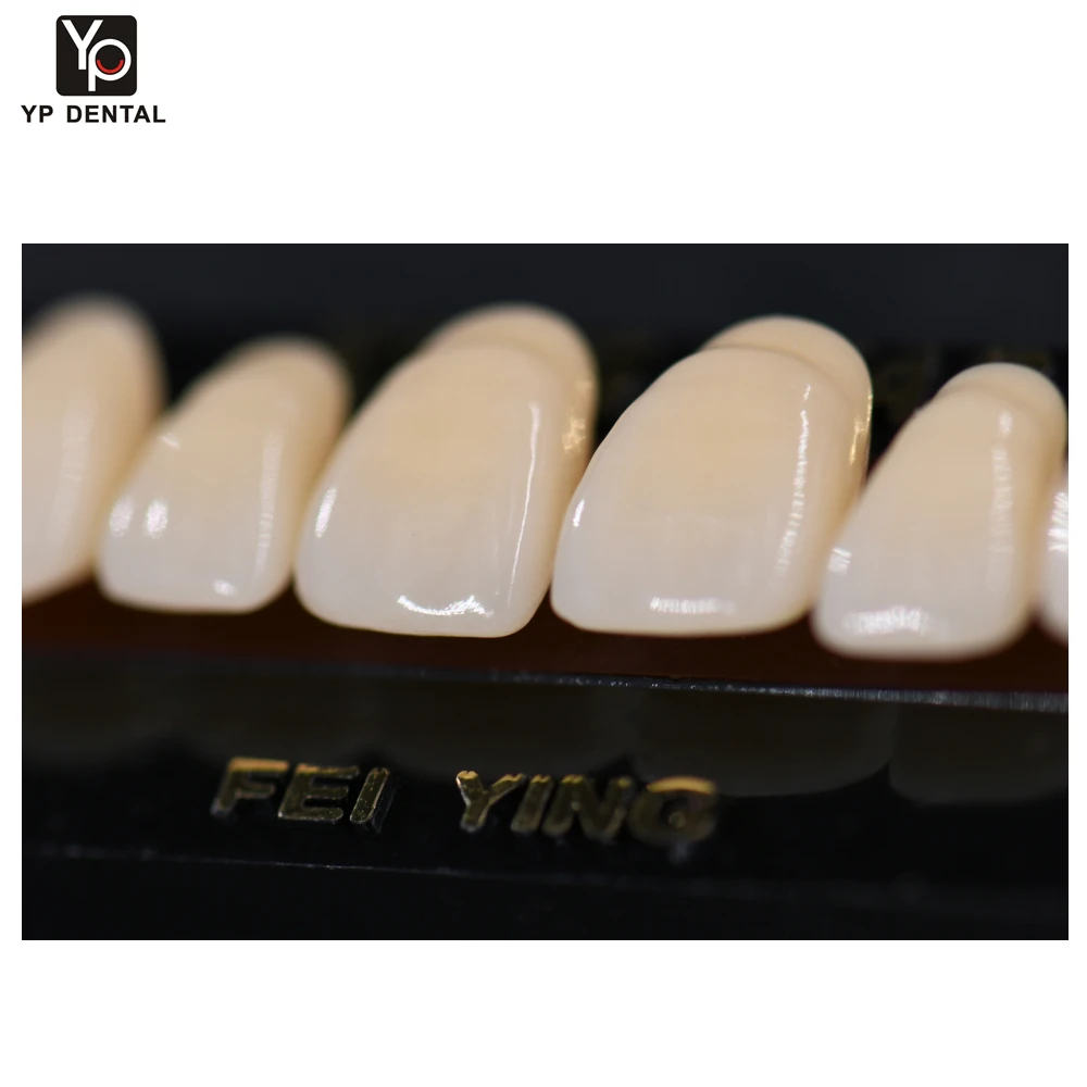 Resin Tooth Example 28 Full Mouth Resin Teeth Flexible Dental Material Resin Teeth False ...