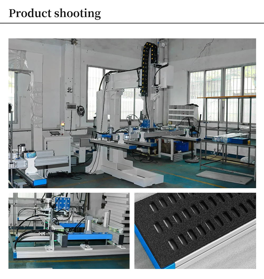 Hongrui Single Station Gantry Loader for OEM of Panel Furniture manufacture
