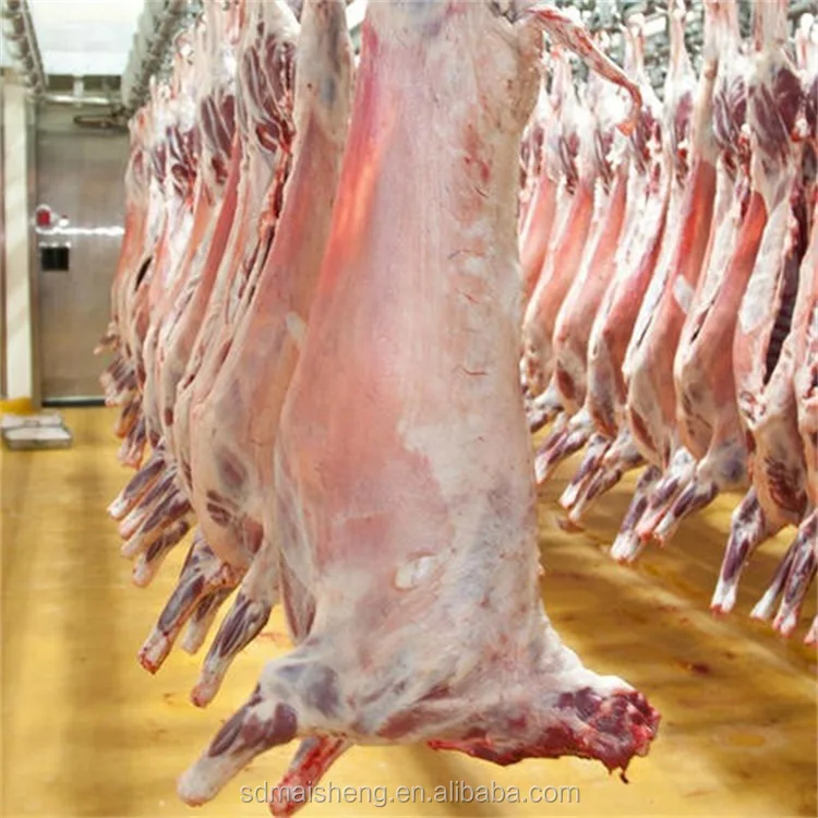 Maisheng Turnkey Project Cattle Slaughter Machine Cow Slaughter House Equipment Cattle Slaughter Production Line