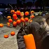 Extra Large, Plump 25 Persimmons - 5-pack