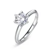 Argento/R009603