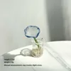 Morning Glory