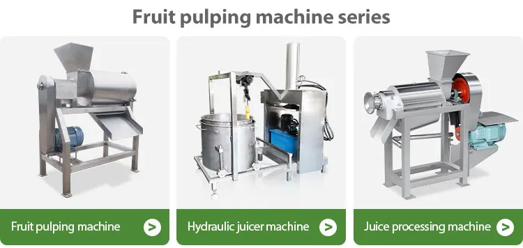 Beater Fruit Stainless Steel Pumpkin Coconut Pulp Machine Puree Extraction Mango pitting and Seed Separating