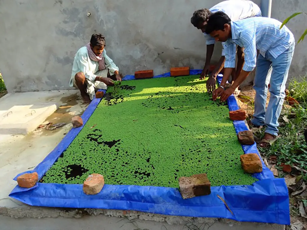 HDPE Geomembrane Azolla Pond Liner