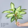 35cm