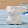 white koala