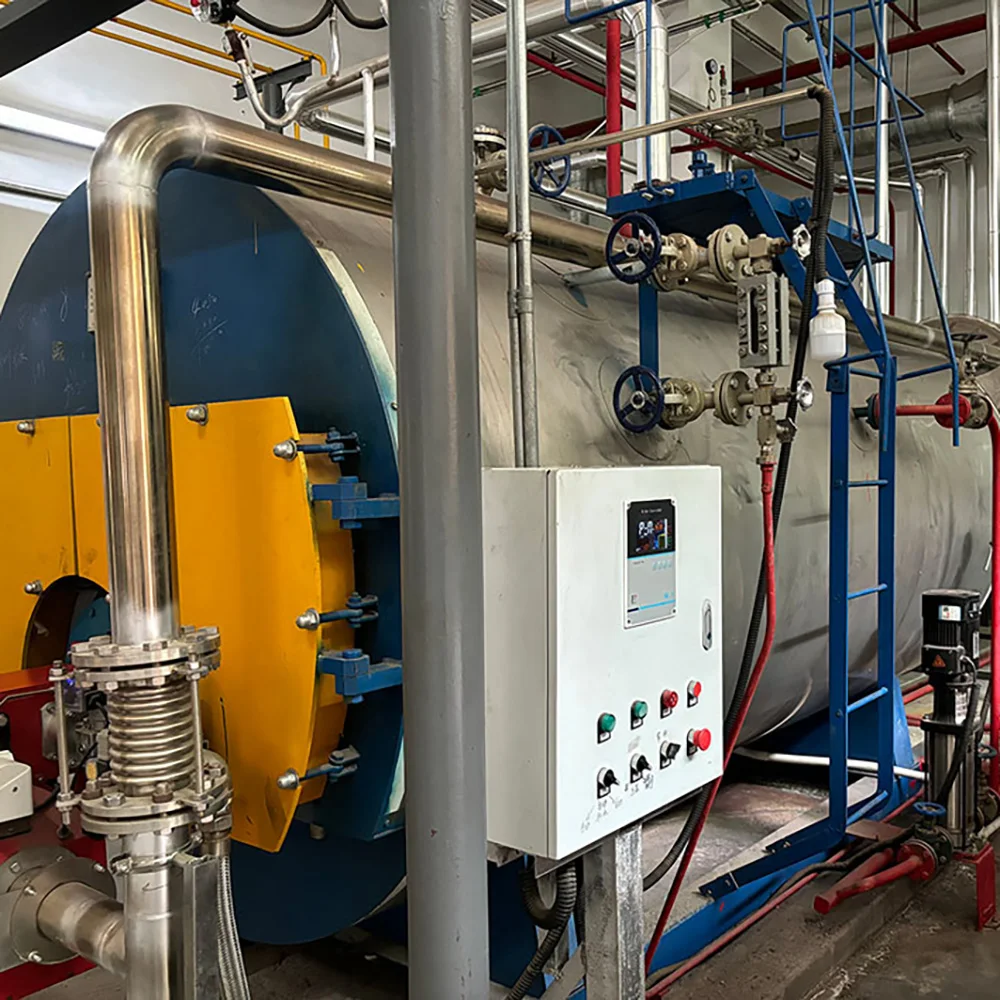 Steam Boiler, Natural Circulation - detail 16