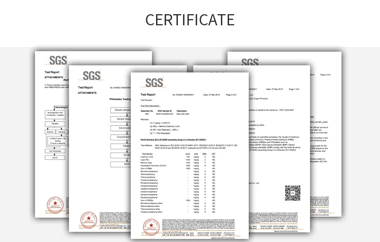 Certificate.jpg