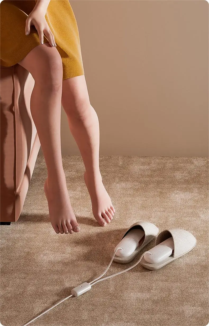 Multifunctional Shoe Sannitizer Heater Smell Remover Household Boot