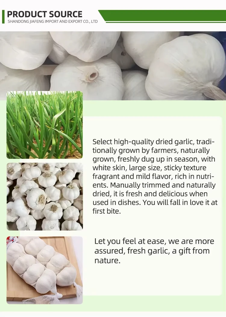 Dehydrated Garlic Flakes - Bulk Wholesale from China Factory Hb2f0fa28145147408553f9d4f924c2145