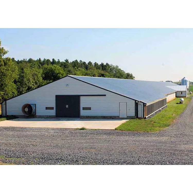 Low Cost Steel Chicken House Structure Warehouse Steel Structure