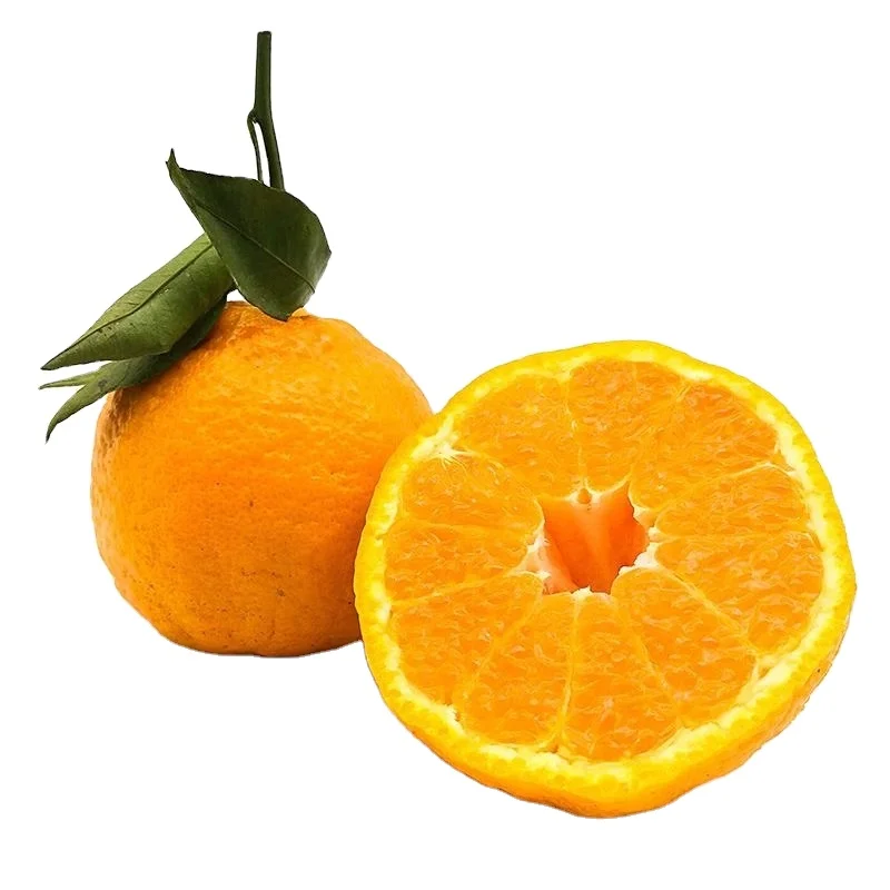 delicious citrus fruit 100% maturity class a natural juicy