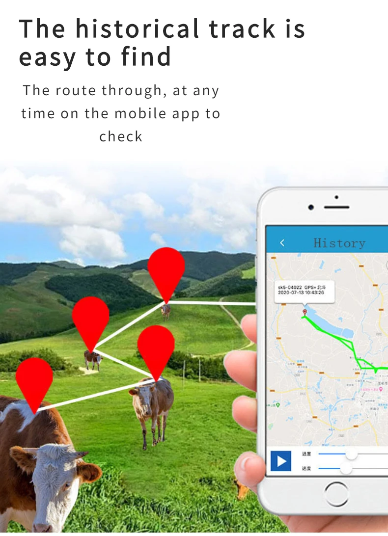 2g Solar Powered Gps Tracker For Animals Long Standby For Cattle Sheep Horses With Geo Fence