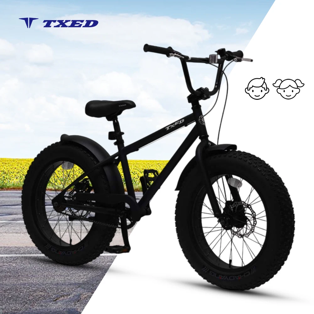 TXED 20 Inch BMX Style Fat Tire Bike for Kids - Cool & Durable