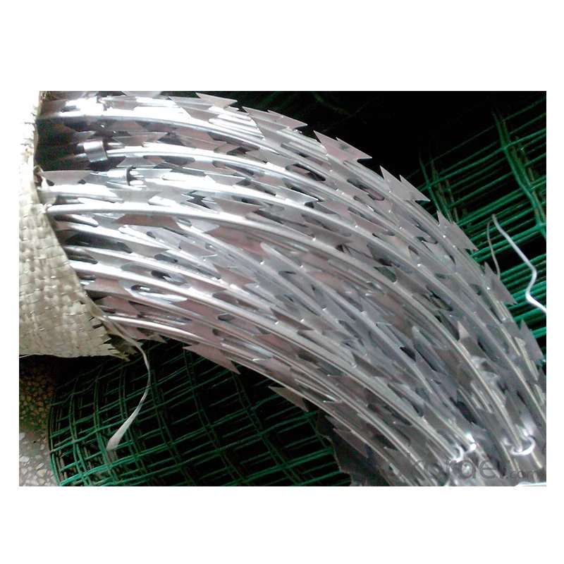 Concertina razor Barbed Wire / Double Strand razor Barbed Wire Fence
