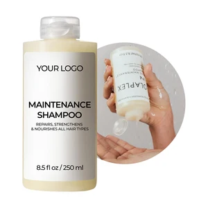 Sulfate-Free Hydrating Hair Shampoo Argan Oil Hyaluronic Acid Moisturizing Frizz Control Daily Nourishment for Damaged Curly