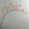 Small single rosehip, orange