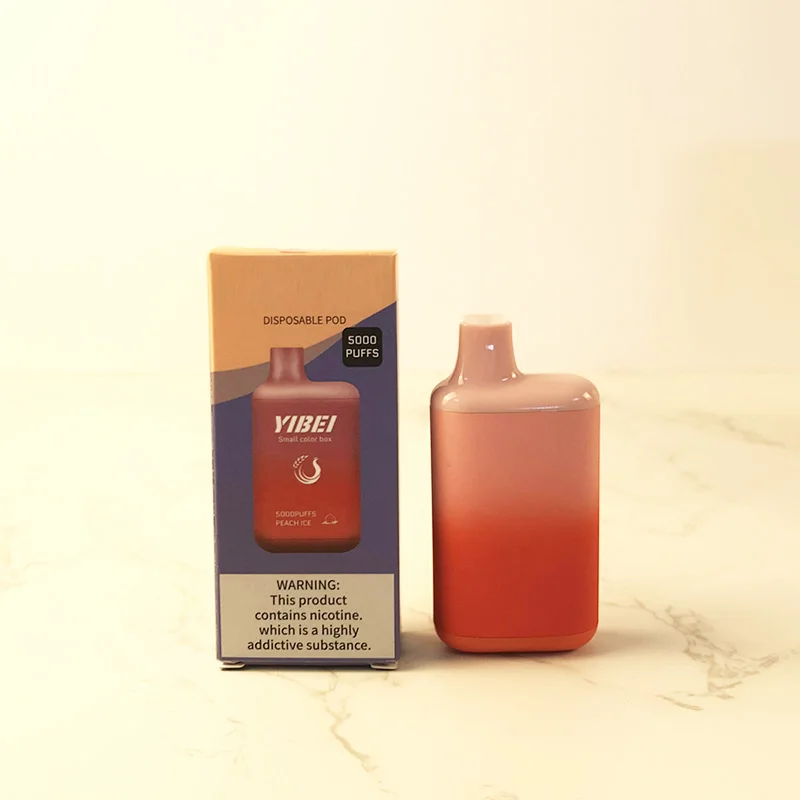 Art Packing Factory Customized Logo Gift Box Vapes 5000 Puff Bang