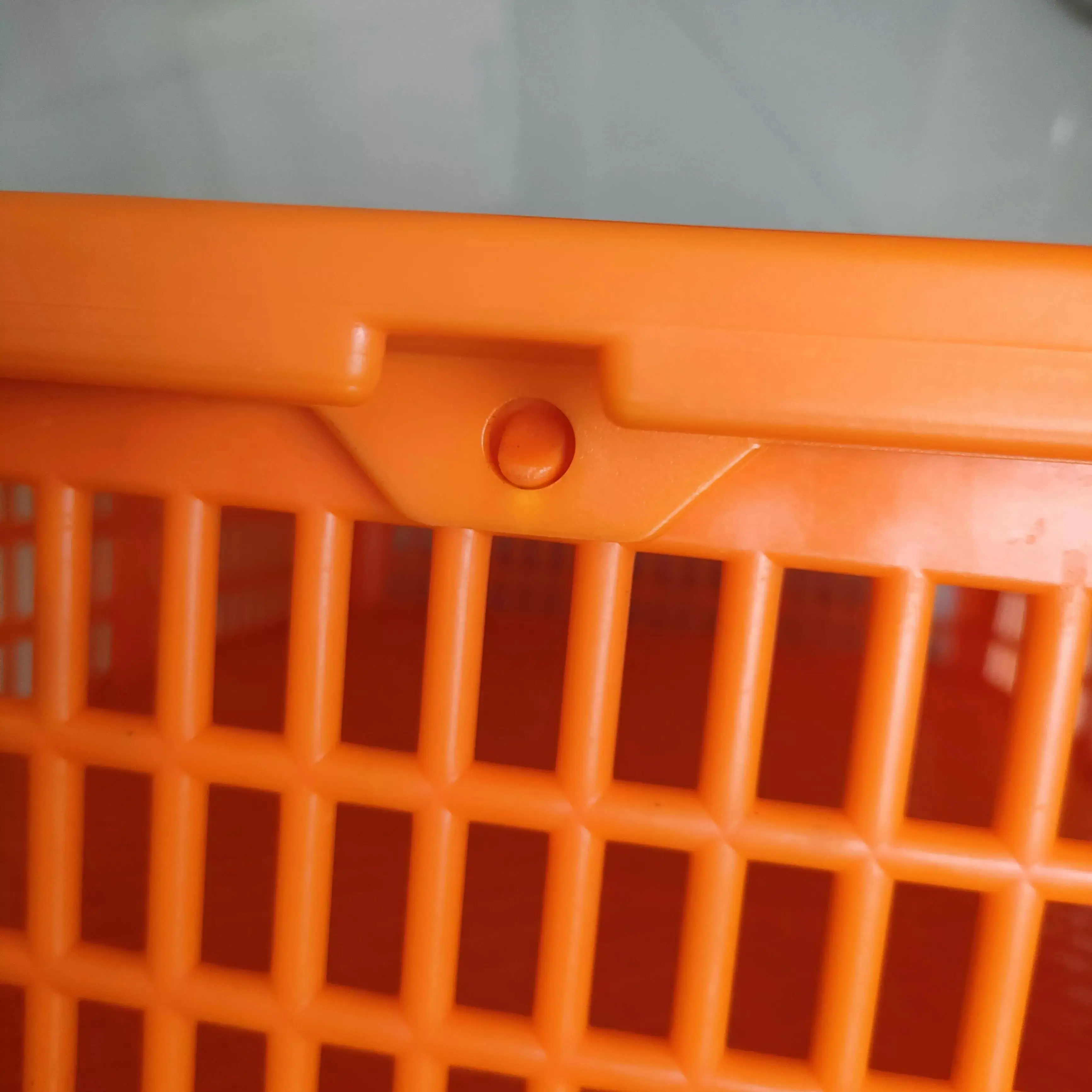 Chick Quail Transport Crate Game Bird Transport Crate Plastic Poultry