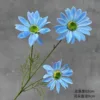 Summer Chrysanthemum Blue